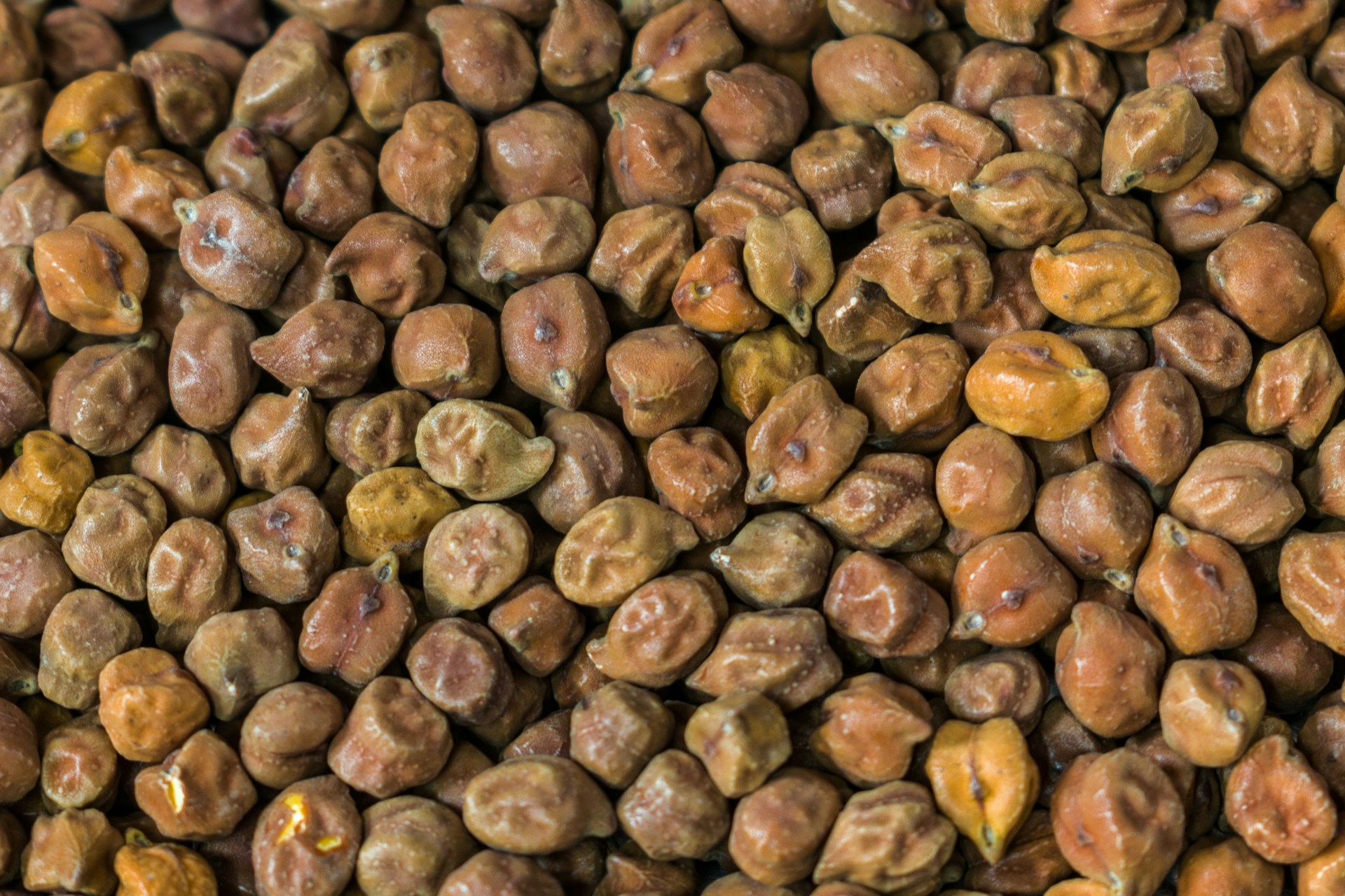 Нут: що це таке і як його використовувати?